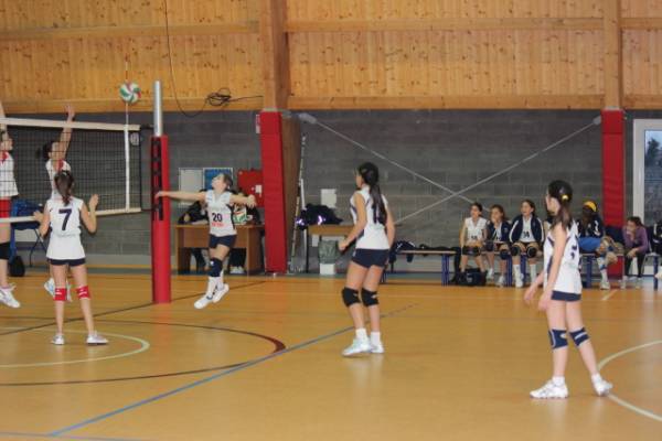 Colpo del condor!