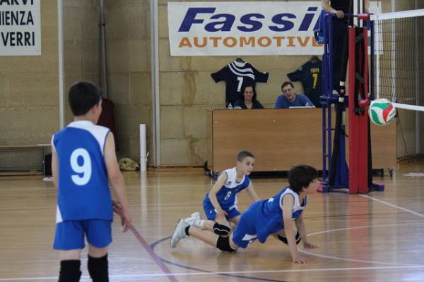 Pallavolo a 4 zampe